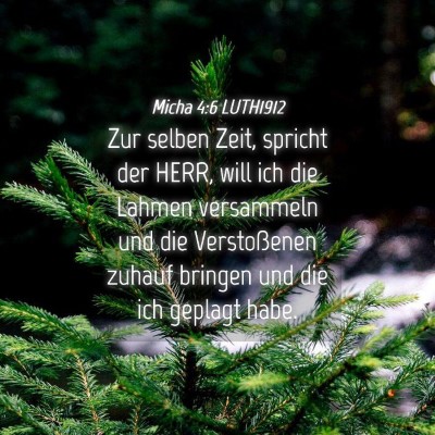 Picture 04 - Micha 4:6 LUTH1912 - Zur selben Zeit, spricht der HERR, will ich die - Bible Verse Picture