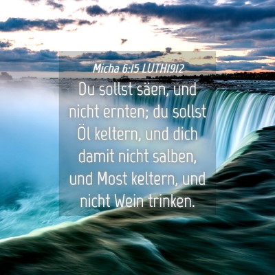 Picture 04 - Micha 6:15 LUTH1912 - Du sollst säen, und nicht ernten; du sollst Öl - Bible Verse Picture
