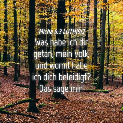 Picture 04 - Micha 6:3 LUTH1912 - Was habe ich dir getan, mein Volk, und womit habe - Bible Verse Picture