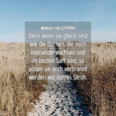 Picture 04 - Nahum 1:10 LUTH1912 - Denn wenn sie gleich sind wie die Dornen, die - Bible Verse Picture
