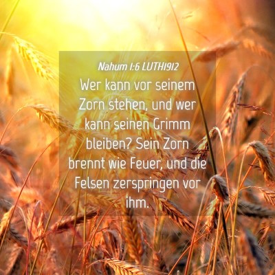 Picture 04 - Nahum 1:6 LUTH1912 - Wer kann vor seinem Zorn stehen, und wer kann - Bible Verse Picture