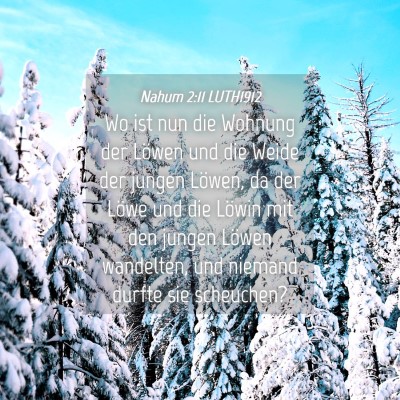 Picture 04 - Nahum 2:11 LUTH1912 - Wo ist nun die Wohnung der Löwen und die Weide - Bible Verse Picture