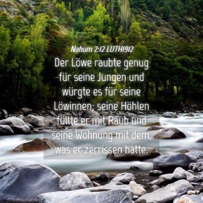 Picture 04 - Nahum 2:12 LUTH1912 - Der Löwe raubte genug für seine Jungen und - Bible Verse Picture