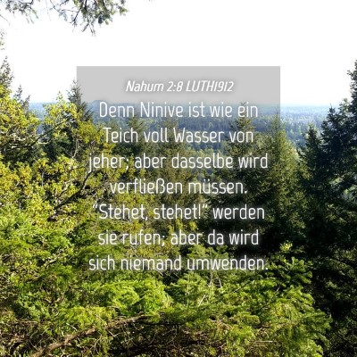 Picture 04 - Nahum 2:8 LUTH1912 - Denn Ninive ist wie ein Teich voll Wasser von - Bible Verse Picture