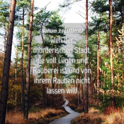 Picture 04 - Nahum 3:1 LUTH1912 - Weh der mörderischen Stadt, die voll Lügen und - Bible Verse Picture
