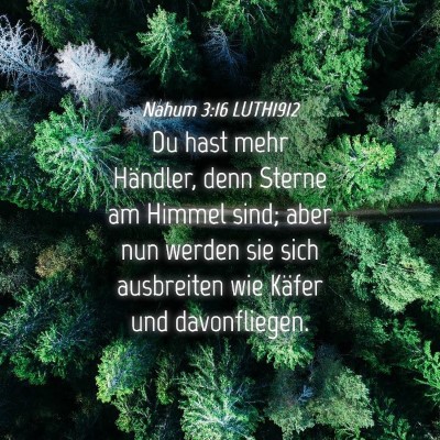 Picture 04 - Nahum 3:16 LUTH1912 - Du hast mehr Händler, denn Sterne am Himmel - Bible Verse Picture