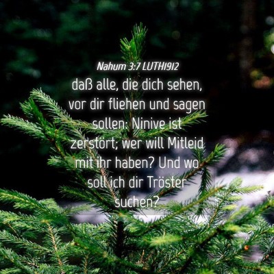 Picture 04 - Nahum 3:7 LUTH1912 - daß alle, die dich sehen, vor dir fliehen und - Bible Verse Picture