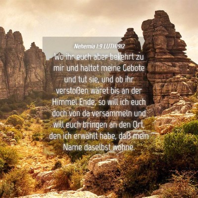 Picture 04 - Nehemia 1:9 LUTH1912 - Wo ihr euch aber bekehrt zu mir und haltet meine - Bible Verse Picture