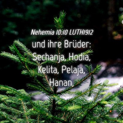 Picture 04 - Nehemia 10:10 LUTH1912 - und ihre Brüder: Sechanja, Hodia, Kelita, - Bible Verse Picture