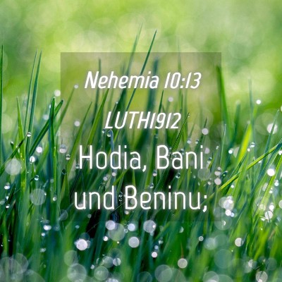 Picture 04 - Nehemia 10:13 LUTH1912 - Hodia, Bani und - Bible Verse Picture