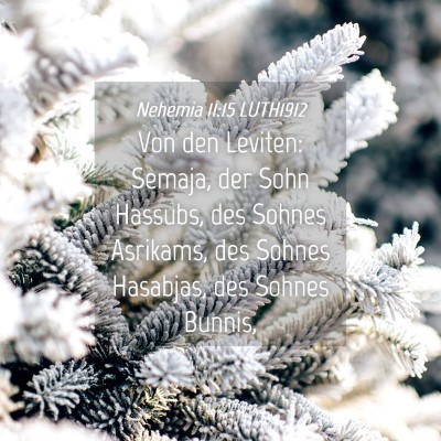 Picture 04 - Nehemia 11:15 LUTH1912 - Von den Leviten: Semaja, der Sohn Hassubs, des - Bible Verse Picture