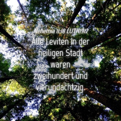 Picture 04 - Nehemia 11:18 LUTH1912 - Alle Leviten in der heiligen Stadt waren - Bible Verse Picture