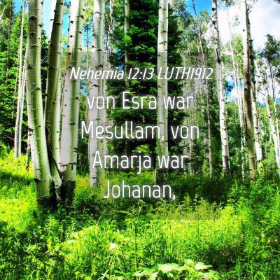 Picture 04 - Nehemia 12:13 LUTH1912 - von Esra war Mesullam, von Amarja war - Bible Verse Picture