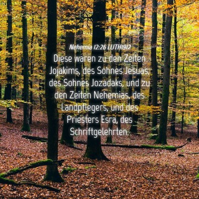 Picture 04 - Nehemia 12:26 LUTH1912 - Diese waren zu den Zeiten Jojakims, des Sohnes - Bible Verse Picture