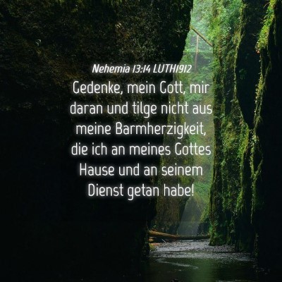 Picture 04 - Nehemia 13:14 LUTH1912 - Gedenke, mein Gott, mir daran und tilge nicht aus - Bible Verse Picture