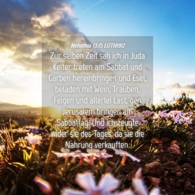 Picture 04 - Nehemia 13:15 LUTH1912 - Zur selben Zeit sah ich in Juda Kelter treten am - Bible Verse Picture