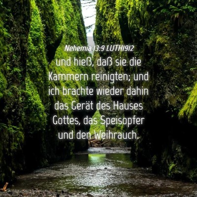 Picture 04 - Nehemia 13:9 LUTH1912 - und hieß, daß sie die Kammern reinigten; und - Bible Verse Picture