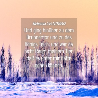 Picture 04 - Nehemia 2:14 LUTH1912 - Und ging hinüber zu dem Brunnentor und zu des - Bible Verse Picture