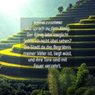 Picture 04 - Nehemia 2:3 LUTH1912 - und sprach zu dem König: Der König lebe - Bible Verse Picture