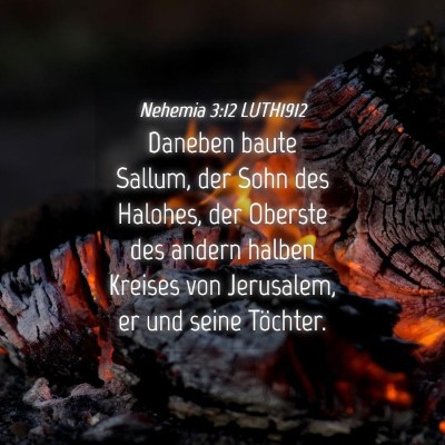 Picture 04 - Nehemia 3:12 LUTH1912 - Daneben baute Sallum, der Sohn des Halohes, der - Bible Verse Picture