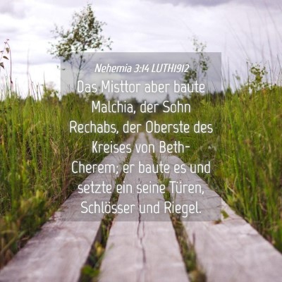 Picture 04 - Nehemia 3:14 LUTH1912 - Das Misttor aber baute Malchia, der Sohn Rechabs, - Bible Verse Picture