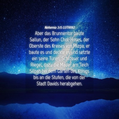 Picture 04 - Nehemia 3:15 LUTH1912 - Aber das Brunnentor baute Sallun, der Sohn - Bible Verse Picture