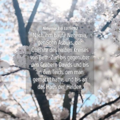 Picture 04 - Nehemia 3:16 LUTH1912 - Nach ihm baute Nehemia, der Sohn Asbuks, der - Bible Verse Picture