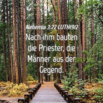 Picture 04 - Nehemia 3:22 LUTH1912 - Nach ihm bauten die Priester, die Männer aus der - Bible Verse Picture