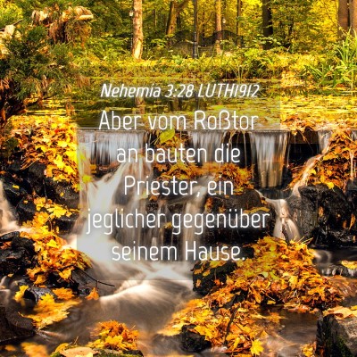 Picture 04 - Nehemia 3:28 LUTH1912 - Aber vom Roßtor an bauten die Priester, ein - Bible Verse Picture