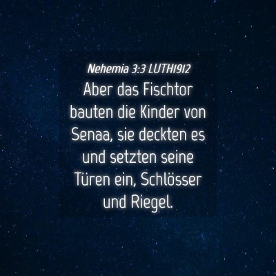 Picture 04 - Nehemia 3:3 LUTH1912 - Aber das Fischtor bauten die Kinder von Senaa, - Bible Verse Picture
