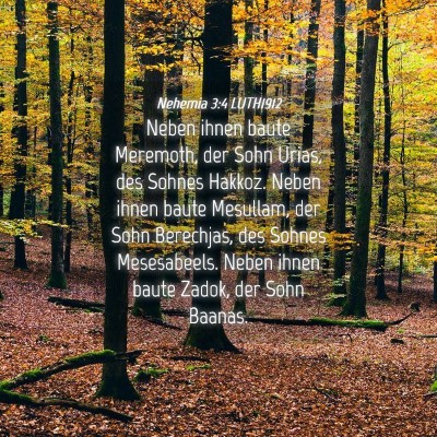Picture 04 - Nehemia 3:4 LUTH1912 - Neben ihnen baute Meremoth, der Sohn Urias, des - Bible Verse Picture
