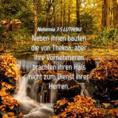 Picture 04 - Nehemia 3:5 LUTH1912 - Neben ihnen bauten die von Thekoa; aber ihre - Bible Verse Picture
