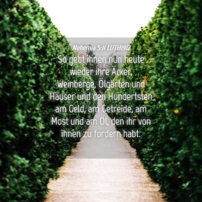 Picture 04 - Nehemia 5:11 LUTH1912 - So gebt ihnen nun heute wieder ihre Äcker, - Bible Verse Picture