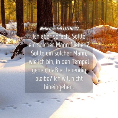 Picture 04 - Nehemia 6:11 LUTH1912 - Ich aber sprach: Sollte ein solcher Mann fliehen? - Bible Verse Picture