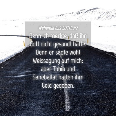 Picture 04 - Nehemia 6:12 LUTH1912 - Denn ich merkte, daß ihn Gott nicht gesandt - Bible Verse Picture