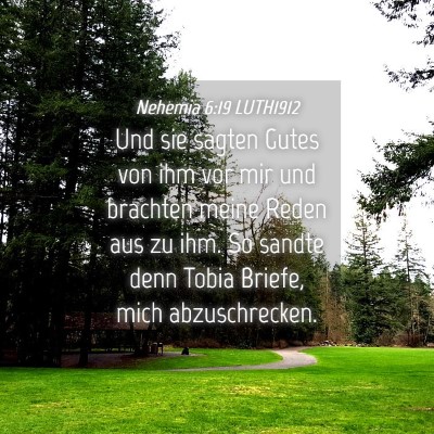 Picture 04 - Nehemia 6:19 LUTH1912 - Und sie sagten Gutes von ihm vor mir und brachten - Bible Verse Picture