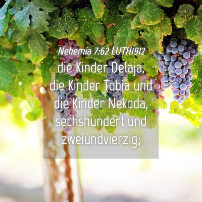 Picture 04 - Nehemia 7:62 LUTH1912 - die Kinder Delaja, die Kinder Tobia und die - Bible Verse Picture