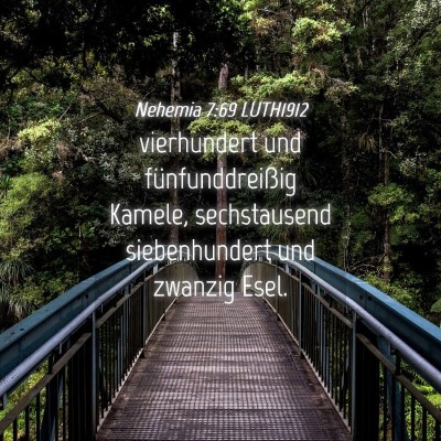 Picture 04 - Nehemia 7:69 LUTH1912 - vierhundert und fünfunddreißig Kamele, - Bible Verse Picture