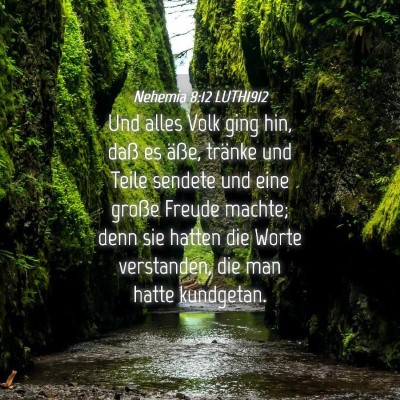 Picture 04 - Nehemia 8:12 LUTH1912 - Und alles Volk ging hin, daß es äße, tränke - Bible Verse Picture