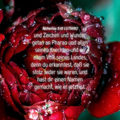 Picture 04 - Nehemia 9:10 LUTH1912 - und Zeichen und Wunder getan an Pharao und allen - Bible Verse Picture