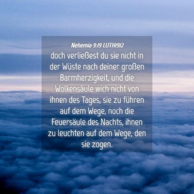 Picture 04 - Nehemia 9:19 LUTH1912 - doch verließest du sie nicht in der Wüste nach - Bible Verse Picture