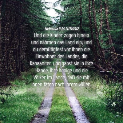 Picture 04 - Nehemia 9:24 LUTH1912 - Und die Kinder zogen hinein und nahmen das Land - Bible Verse Picture