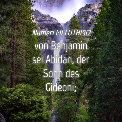 Picture 04 - Numeri 1:11 LUTH1912 - von Benjamin sei Abidan, der Sohn des - Bible Verse Picture