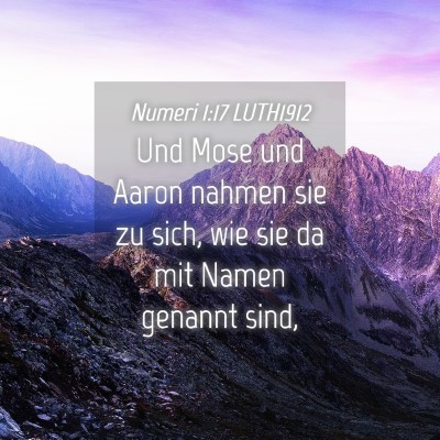 Picture 04 - Numeri 1:17 LUTH1912 - Und Mose und Aaron nahmen sie zu sich, wie sie da - Bible Verse Picture