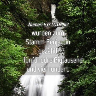 Picture 04 - Numeri 1:37 LUTH1912 - wurden zum Stamm Benjamin gezählt - Bible Verse Picture