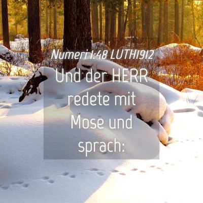 Picture 04 - Numeri 1:48 LUTH1912 - Und der HERR redete mit Mose und - Bible Verse Picture