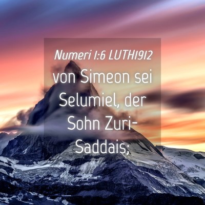 Picture 04 - Numeri 1:6 LUTH1912 - von Simeon sei Selumiel, der Sohn - Bible Verse Picture