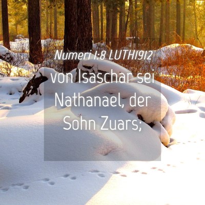 Picture 04 - Numeri 1:8 LUTH1912 - von Isaschar sei Nathanael, der Sohn - Bible Verse Picture