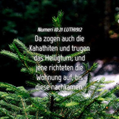 Picture 04 - Numeri 10:21 LUTH1912 - Da zogen auch die Kahathiten und trugen das - Bible Verse Picture