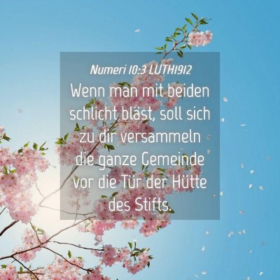 Picture 04 - Numeri 10:3 LUTH1912 - Wenn man mit beiden schlicht bläst, soll sich zu - Bible Verse Picture